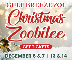 zoobiliee 2025 mobile